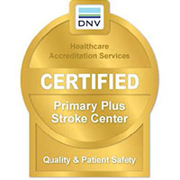 stroke-2022